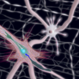 Bild zu Unterschied zwischen Synapse und Dendrit