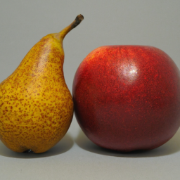 Bild zu Unterschied zwischen Apfel und Birne