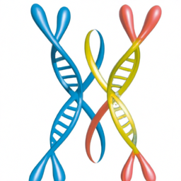Bild zu Unterschied zwischen Genen und Chromosomen