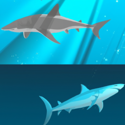 Bild zu Unterschied zwischen Haifisch und Delfin