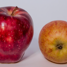Bild zu Unterschied zwischen Bio-Lebensmitteln und konventionellen Lebensmitteln
