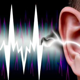 Bild zu Unterschied zwischen Tinnitus und Hörsturz