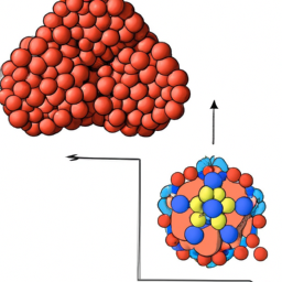Bild zu Unterschied zwischen Lipoprotein und Apolipoprotein