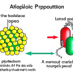 Bild zu Unterschied zwischen Lipoprotein und Apolipoprotein